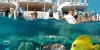 1469408572-El-Gouna-Snorkeling